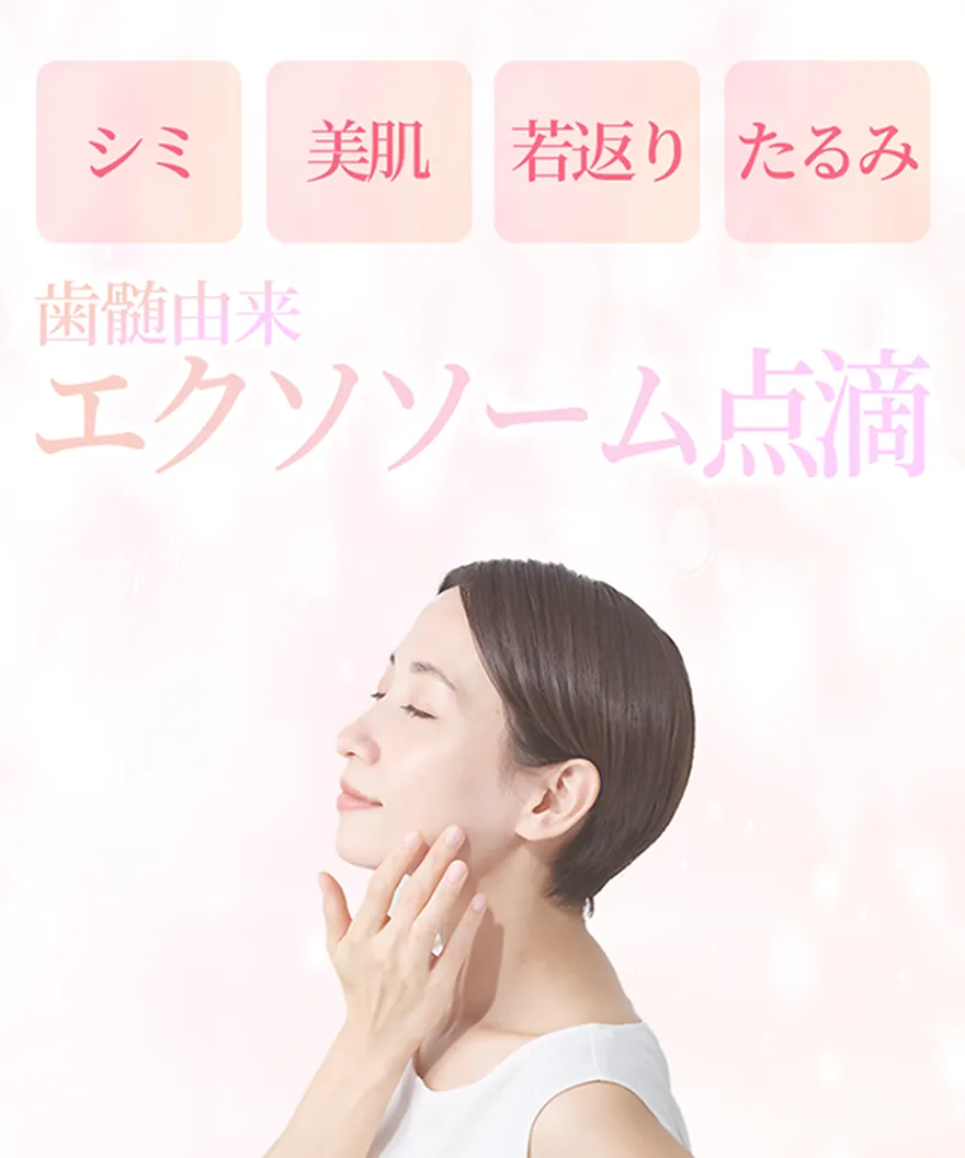 MVバナー4