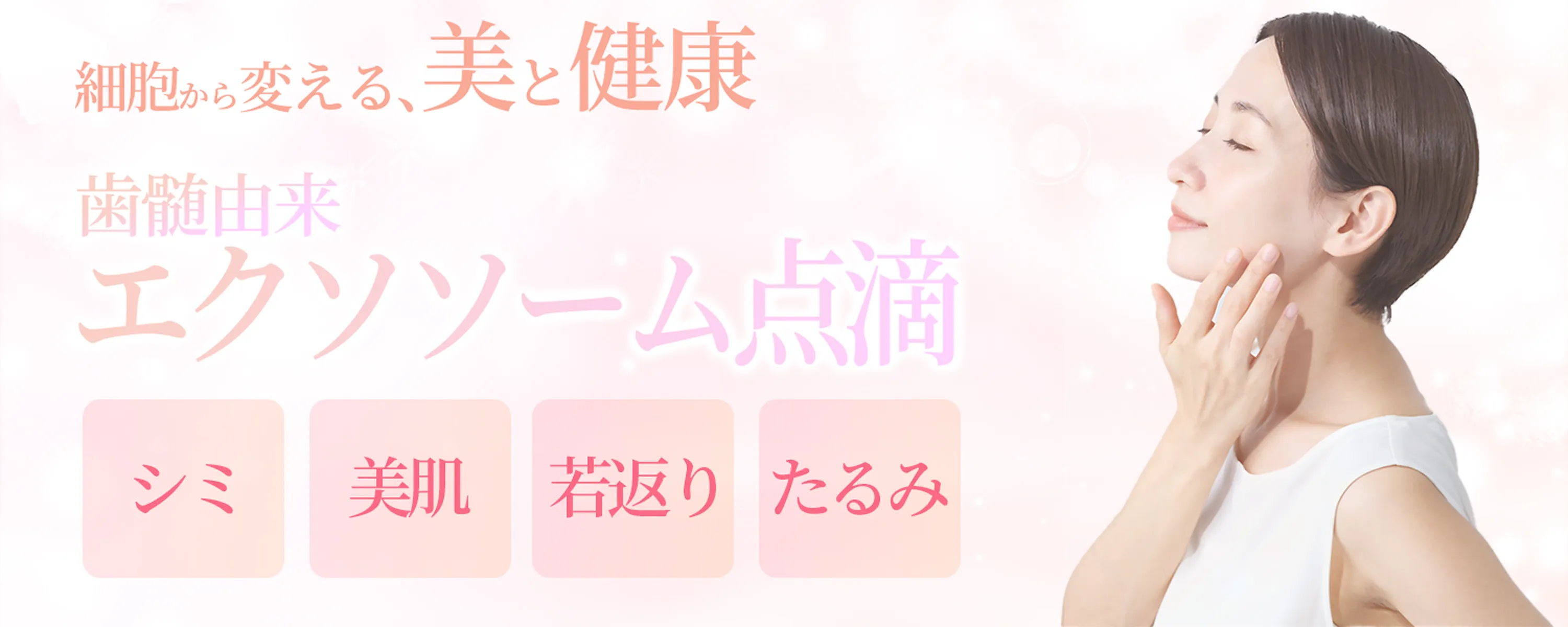 MVバナー4
